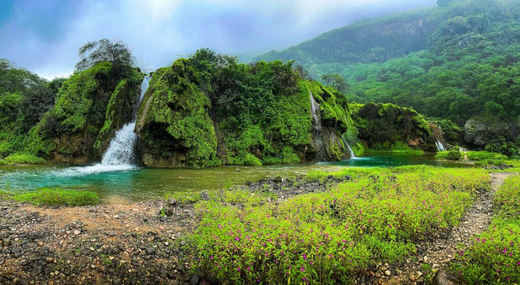 Salalah Khareef Experience – Scenic Oman Getaway from UAE